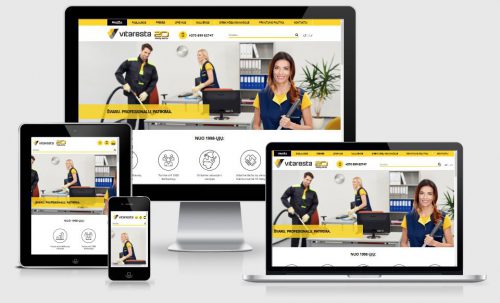 Internetinių svetainių kūrimas, SEO paslaugos