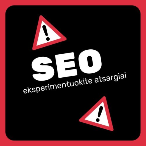 SEO paslaugos – organinės paieškos naudotojai