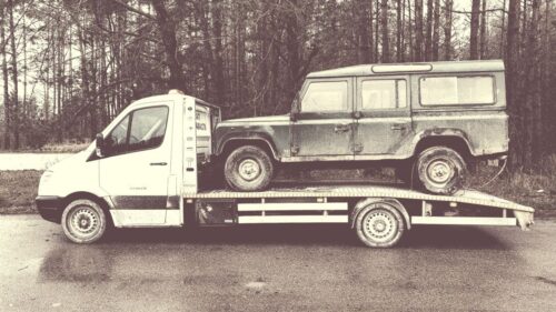 Traliukas 24/7 – Ignalina – Tralas – Visa Lietuva – 867484178