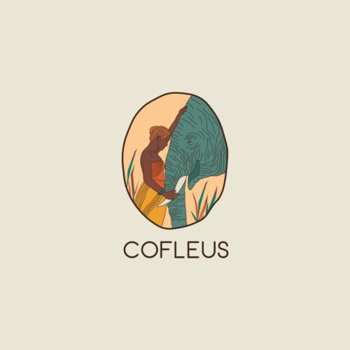 Logotipų kūrimas Įmonės įvaizdžio formavimas Pakuočių dizainas Maketavimas