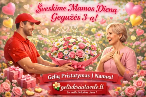 Mamos dienai Gėlės į namus